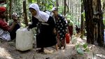 Potret Perjuangan Warga Pekalongan Cari Air Bersih di Hutan Pinus