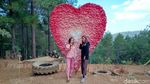 Foto: Bukit Instagramable dari Purworejo
