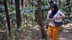 Potret Perjuangan Warga Pekalongan Cari Air Bersih di Hutan Pinus