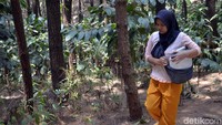 Mereka mencari air bersih dengan membawa jeriken.