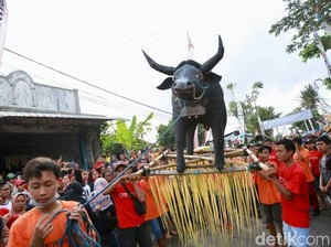Keboan Aliyan, Tradisi Agraris Desa di Banyuwangi Agar Panen Berlimpah