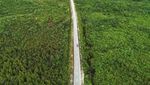Penampakan Jalan Perbatasan Kalbar Meliuk-liuk di Tengah Hutan