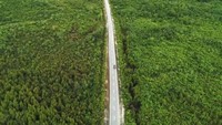 Jalan paralel perbatasan memiliki lebar minimal 7 meter dan ruang milik jalan (Rumija) minimal 25 meter. Istimewa/Kementerian PUPR.