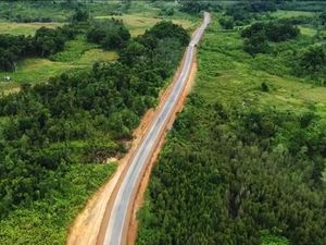 Kalimantan Tengah Ditarget Jadi Lokasi Cetak Sawah Baru