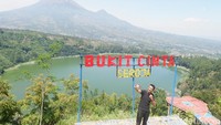 Bosan dengan rutinitas, wisata alam Bukit Cinta Lembah Seroja di Wonosobo, Jawa Tengah menjadi pilihan yang tepat untuk liburan. Indah banget! (Uje Hertono/detikcom)