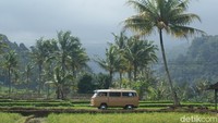 Terdapat 22 mobil tua yang bisa kamu pilih dengan tarif sewa mulai Rp 400 ribu- Rp 1,5 juta. (Ardian Fanani/detikTravel)