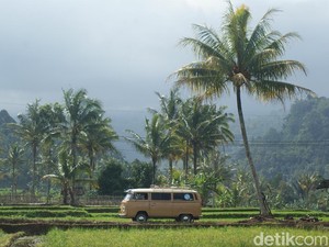 Mobil Tua Tidak Punah di Banyuwangi