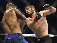 Khabib Tantang George St-Pierre, UFC Beri Lampu Hijau