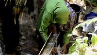 Berdasarkan data BPBD Pekalongan, memasuki bulan September ini krisis air bersih di Kabupaten Pekalongan meluas. Dari 19 kecamatan terdapat 9 kecamatan yang mengalami krisis air bersih, yakni Kecamatan Paninggaran, Sragi, Kesesi, Wonokerto, Kajen, Kedungwuni, Wonopringgo, Doro, dan Karanganyar.