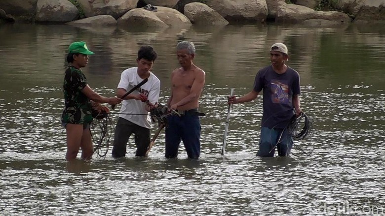 Usir Buaya yang Bikin Resah, Warga Polewali Terjun ke Sungai