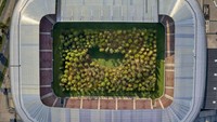 Pepohonan itu terdiri dari beragam spesies, seperti pohon alder, aspen, willow putih, hornbeam, maple dan ek (Gerhard Maurer/CNN) 
