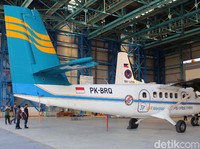 Rencana Besar Bangkitkan Merpati dari Mati Suri