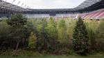 Foto: Hutan di Dalam Stadion Sepakbola