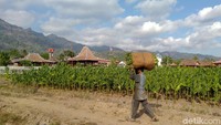 Selain itu, Balkondes juga merupakan salah satu sumber pendapatan desa dengan adanya homestay atau penginapan yang dapat ditawarkan kepada para wisatawan. Selain itu, konsep penginapan yang dipadukan dengan ekplorasi seni dan budaya lokal dapat menunjang kemajuan pariwisata setempat. Balkondes Tuksongo dan Balkondes lain di sekitar Candi Borobudur yang telah dibangun BUMN akan menjadi percontohan bagi pembangunan Balkondes di daerah wisata lainnya di seluruh Indonesia.