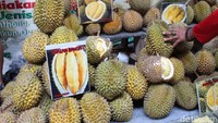 Dari Banyumas juga ada durian bawor dengan ciri khas biji yang kecil. Warna dagingnya sangat tebal dengan warna kuning yang menggugah selera. Foto: dok. detikFood