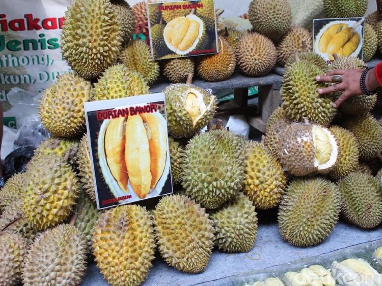 Ragam Durian dan Olahannya Hadir di Pekan Raya Durian