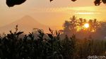 Majukan Perekonomian Petani Tembakau