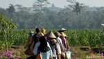 Majukan Perekonomian Petani Tembakau