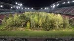 Foto: Hutan di Dalam Stadion Sepakbola