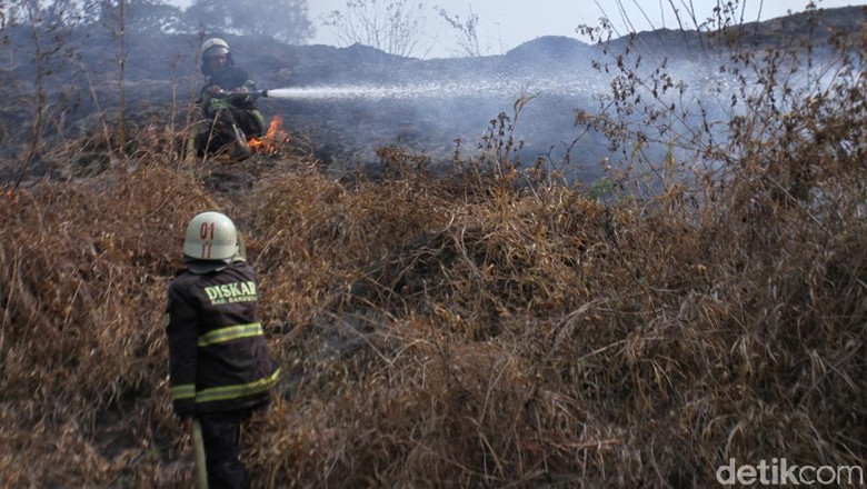 KLHK: 85 Persen Karhutla Terjadi di Perkebunan KLHK: 85 Persen Karhutla Terjadi di Perkebunan