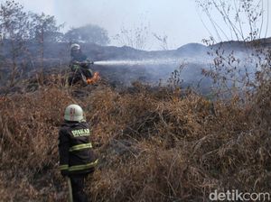 Lahan Gambut 2 Hektare di Gunung Pasir Paros Baleendah Terbakar