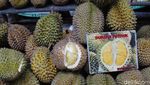 Ragam Durian dan Olahannya Hadir di Pekan Raya Durian