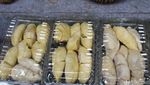 Ragam Durian dan Olahannya Hadir di Pekan Raya Durian