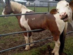 Momen Kocak Photobomb, Ada yang Lirikannya Bikin Ngeri!