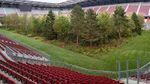 Foto: Hutan di Dalam Stadion Sepakbola