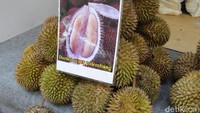 Yang ini durian khas Palembang. Ukurannya lebih kecil dibandingkan durian kebanyakan. Namun, rasanya tetap manis dan khas. Harga yang ditawarkan sekitar Rp. 60.000 per buahnya. Foto: dok. detikFood