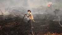 Hingga kini kebakaran hutan dan lahan (Karhutla) masih terjadi di Sumatera. Antara Foto/Rony Muharrman.