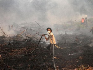 Polri: Polda-Polres Harus Mampu Ungkap Kasus Karhutla!