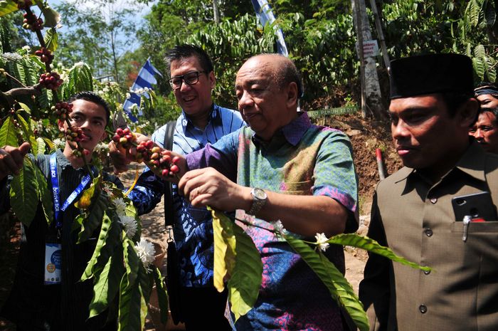 Melihat Budidaya Kopi Di Semarang Foto 4