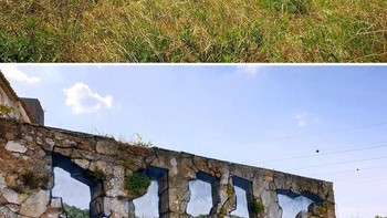 Pria berusia 34 tahun ini memiliki gaya gambar gratifi yang unik dan berbeda dari seniman grafiti lainnya. (Foto: Rodrigo Miguel)