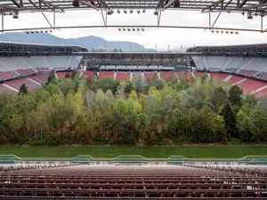 Ada Hutan Tumbuh di Tengah Stadion Sepak Bola