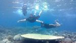 Foto: Dahulu Rusak Parah, Sekarang Taman Laut Ini Penuh Warna