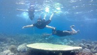 Tak afdol bila datang ke sini tidak snorkling (dok LSM KOMPPAK) 