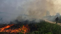 Berdasarkan pantauan satelit di level confidence 70 persen, di Riau ditemukan 182 titik panas. Kawasan paling luas terjadi Karhutla saat ini di Kabupaten Inhil ada 117 titik panas. Selanjutnya Kabupaten Pelalawan 38 titik, Inhu 17, Dumai 1 dan Bengkalis 2. Antara Foto/Rony Muharrman.