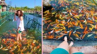 Berawal dari video online yang viral, Underwater Birdge ini jadi destinasi hits para pengunjung jika sedang berada di Isdaan. Foto: Istimewa/Instagram