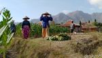 Majukan Perekonomian Petani Tembakau
