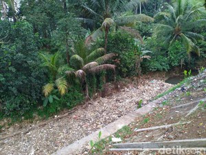 Tumpukan Sampah Tersebar di Perairan Kalibaru Bogor hingga Depok