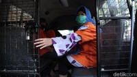 Rekonstruksi itu hanya berjalan sekitar 5 menit. Setelahnya tersangka Aulia Kesuma dibawa dengan menggunakan mobil tahanan.