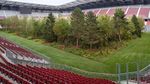 Foto: Hutan di Dalam Stadion Sepakbola