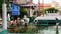 Konsepnya jalan bersama ikan, para pengunjung bisa bermain dengan ikan koi sambil memberi makan, di kolam ikan yang dangkal dan aman untuk dilalui para pengunjung. Foto: Istimewa/Instagram
