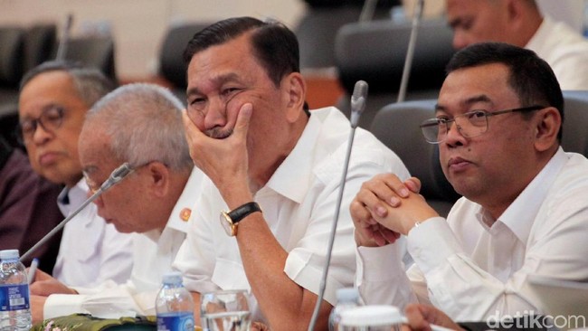 Kritik Keras Faisal Basri Soal Luhut Urus Investasi