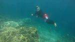 Foto: Dahulu Rusak Parah, Sekarang Taman Laut Ini Penuh Warna