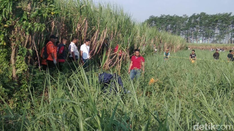 Mayat Pria dengan Luka Tusuk Ditemukan di Ladang Tebu Malang Mayat Pria dengan Luka Tusuk Ditemukan di Ladang Tebu Malang