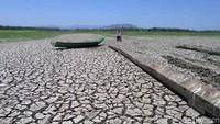 Tanah di dasar waduk juga retak-retak akibat kekurangan pasokan air.