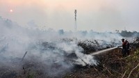 Kebakaran lahan ini menimbulkan asap pekat yang menyelimuti sejumlah wilayah di Riau. Antara Foto/Rony Muharrman.