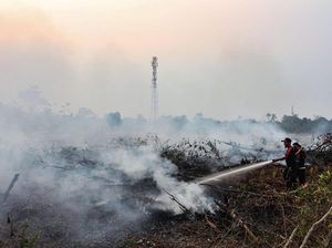 MUI Riau: Pelaku Karhutla Orang Tak Taat Beragama